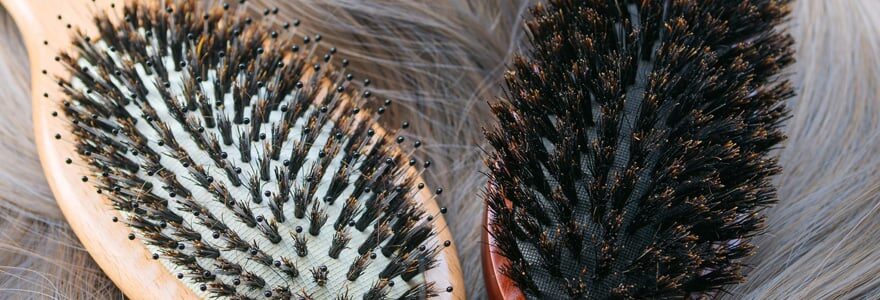 brosse à cheveux en poils de sanglier